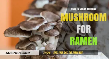 Perfectly Clean Shiitake Mushrooms: A Simple Guide for Ramen Lovers