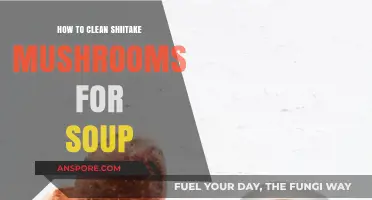 Perfectly Clean Shiitake Mushrooms: A Simple Guide for Soup Lovers