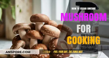 Mastering Shiitake Prep: Quick Tips for Cleaning Mushrooms Perfectly