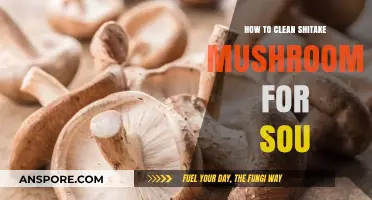 Mastering Shiitake Mushroom Cleaning for Perfect Soup Every Time