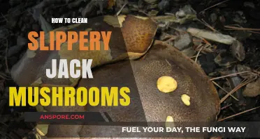 Mastering the Art of Cleaning Slippery Jack Mushrooms Safely