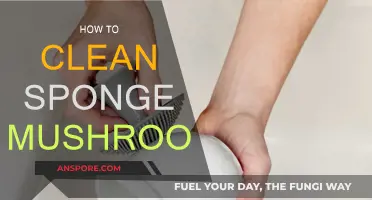 Cleaning Sponge Mushrooms: A Step-by-Step Guide