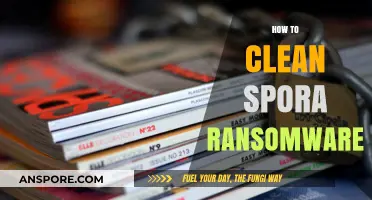 Effective Strategies to Remove Spora Ransomware and Recover Data Safely