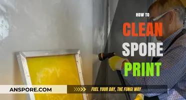 Mastering Spore Print Cleaning: A Step-by-Step Guide for Perfect Results