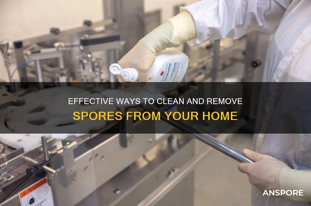 how to clean spores in house