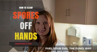 Effective Hand Cleaning Tips to Remove Spores Safely and Easily