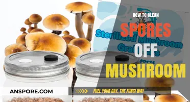 Effective Techniques for Removing Spores from Fresh Mushrooms Safely