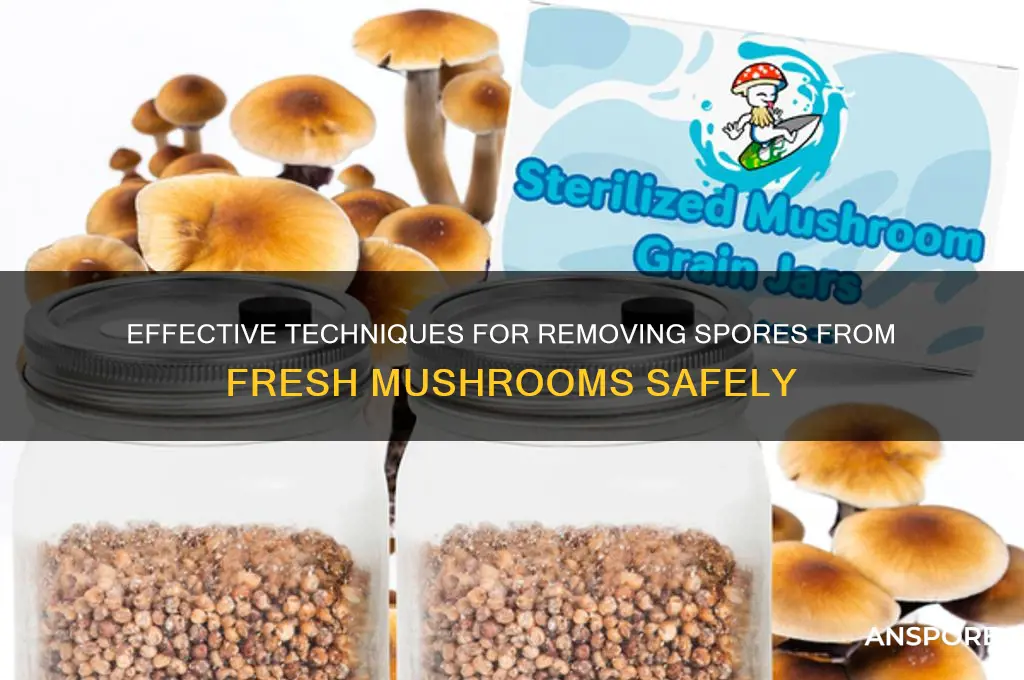 how to clean spores off mushrooms