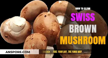 Easy Steps to Clean Swiss Brown Mushrooms for Perfect Cooking
