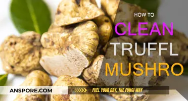 The Ultimate Guide to Cleaning Truffle Mushrooms
