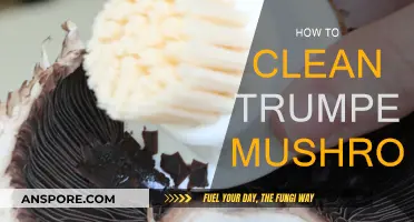 The Ultimate Guide to Cleaning Trumpet Mushrooms