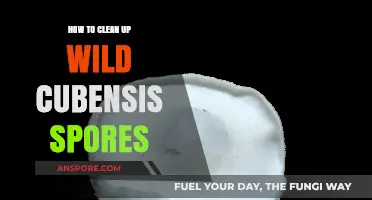 Effective Techniques for Cleaning Wild Cubensis Spores Safely and Efficiently