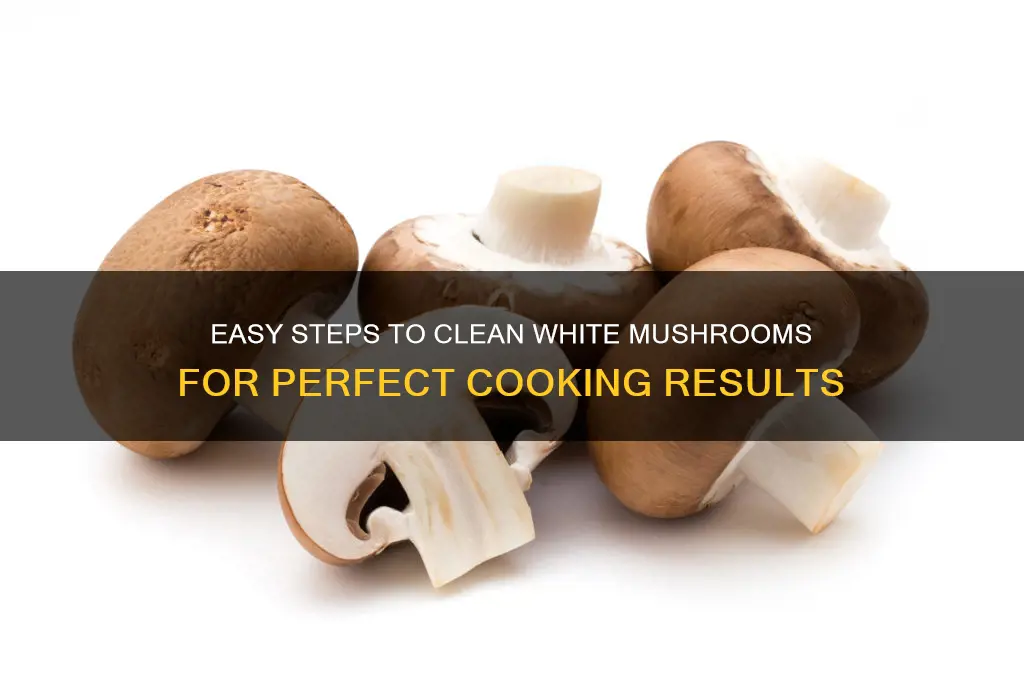 how to clean white mushroom before cooking