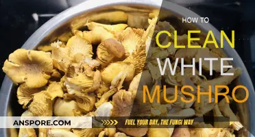 The Best Way to Clean White Mushrooms