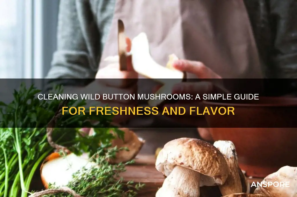 how to clean wild button mushrooms