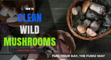 Cleaning Wild Mushrooms: A Step-by-Step Guide