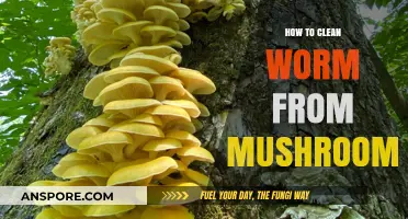 Effective Methods to Clean Worms from Mushrooms Safely and Easily