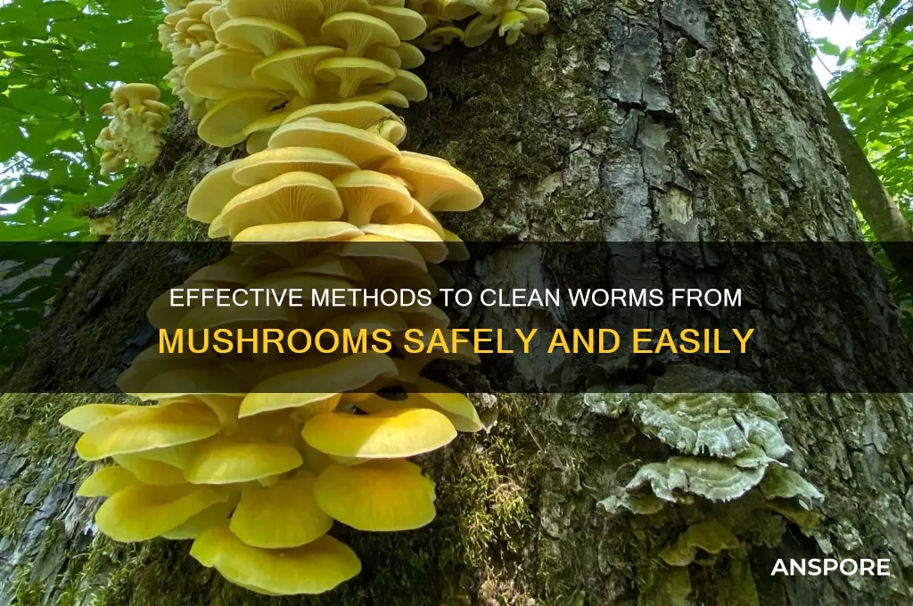 how to clean worm from mushrooms