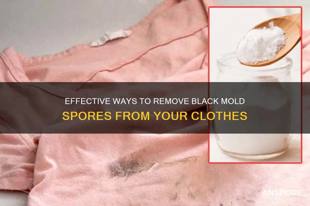 how to clean your clothes of black mold spores