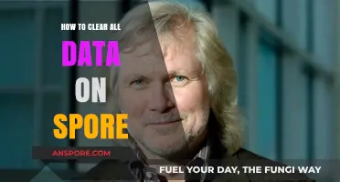 Complete Guide: Safely Erasing All Data on Spore Permanently