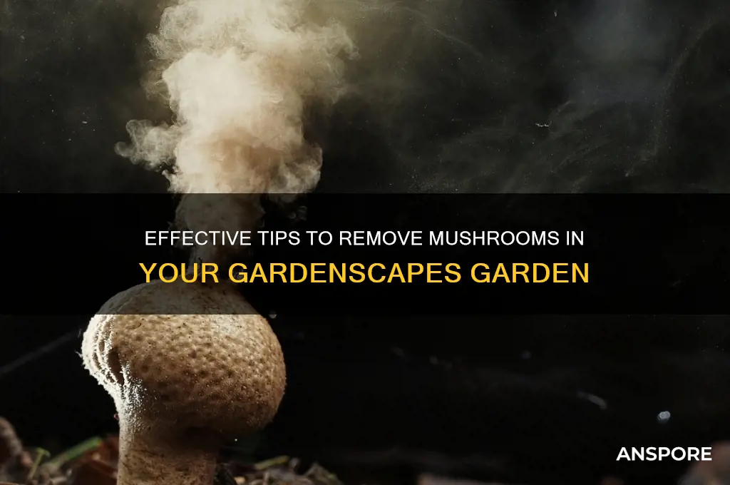 how to clear mushrooms in gardenscapes