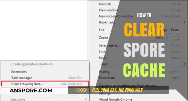 Efficiently Clear Spore Cache: A Step-by-Step Guide for Gamers