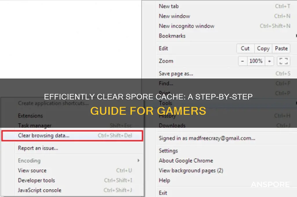 how to clear spore cache