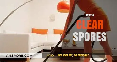 Effective Methods to Eliminate Spores Safely and Thoroughly at Home