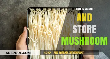 Mastering Mushroom Care: Cleaning and Storing Tips for Freshness