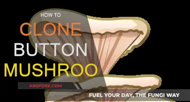 Cloning Button Mushrooms: A Step-by-Step Guide