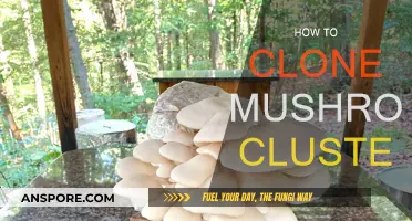 Clone Mushroom Clusters: A Step-by-Step Guide