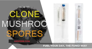 Cloning Mushroom Spores: A Step-by-Step Guide