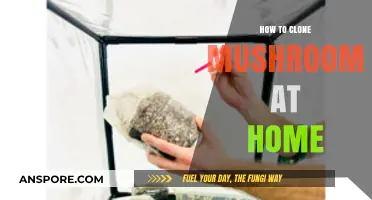 Master Mushroom Cloning: A Simple Guide to Home Cultivation
