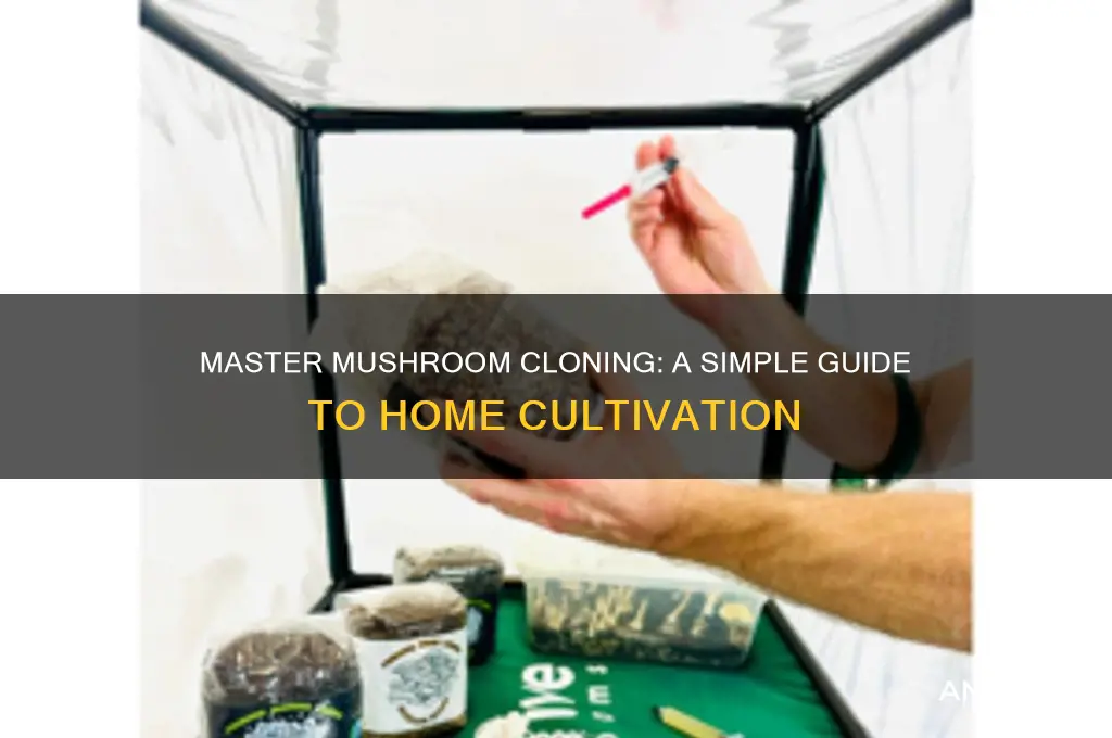how to clone mushrooms at home