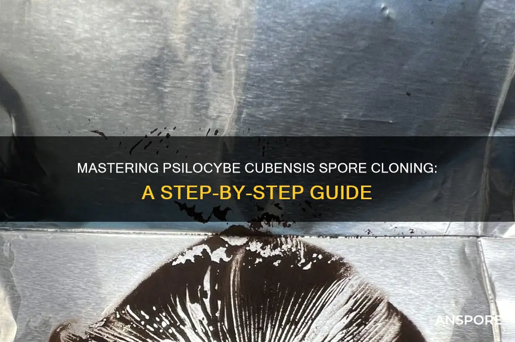 how to clone psilocybe cubensis spores