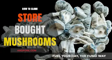 Cloning Store-Bought Mushrooms: A Step-by-Step Guide to Home Cultivation