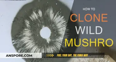 Clone Wild Mushrooms: A Step-by-Step Guide