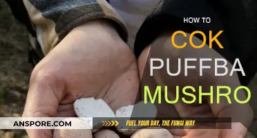 Cooking Puffball Mushrooms: A Beginner's Guide
