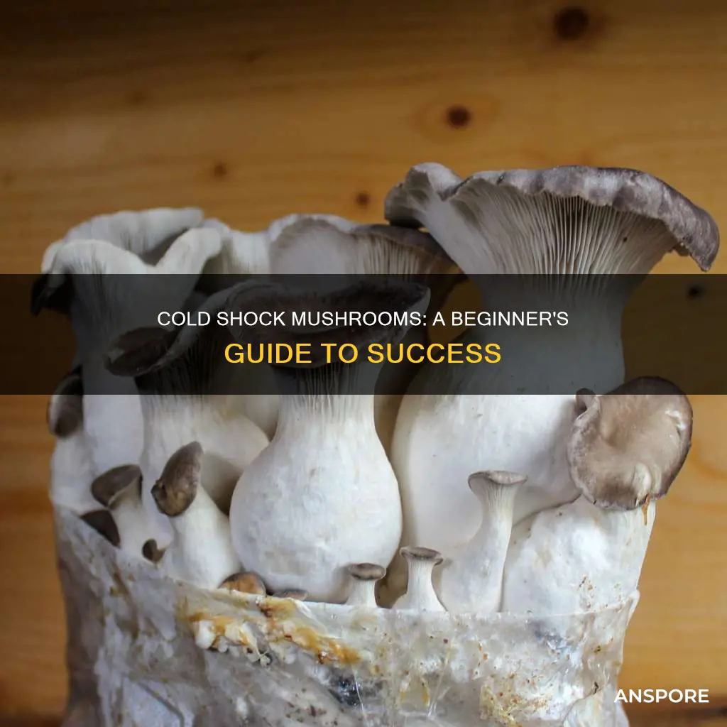 how to cold shock mushrooms