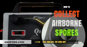 Mastering Airborne Spore Collection: Techniques and Tools for Accurate Sampling