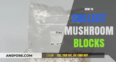 Mushroom Blocks: A Step-by-Step Guide to Collecting