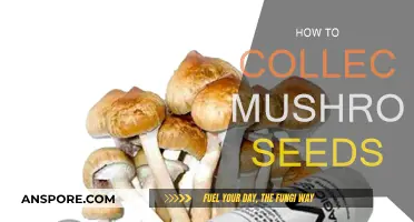 The Ultimate Guide to Collecting Mushroom Spores