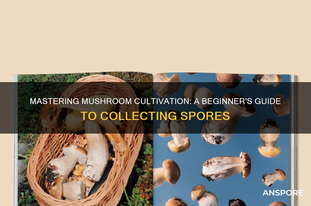 how to collect mushroom spores for growing