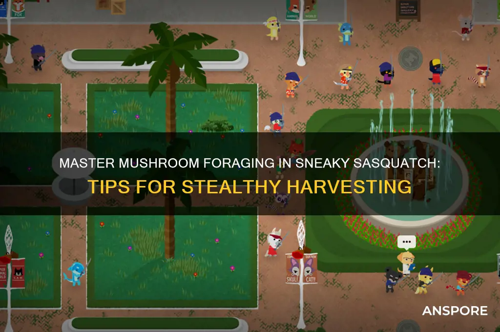 how to collect mushrooms in sneaky sasquatch