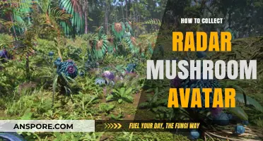 Collecting Radar Mushroom Avatars: A Step-by-Step Guide for Gamers