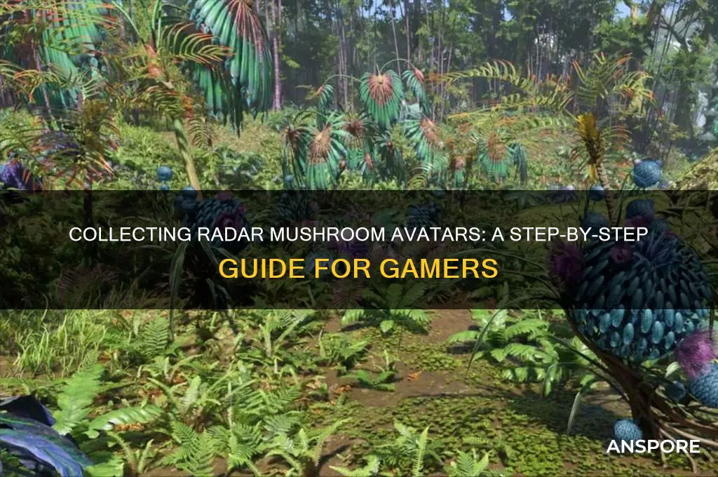 how to collect radar mushroom avatar