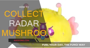 The Ultimate Guide to Collecting Radar Mushrooms