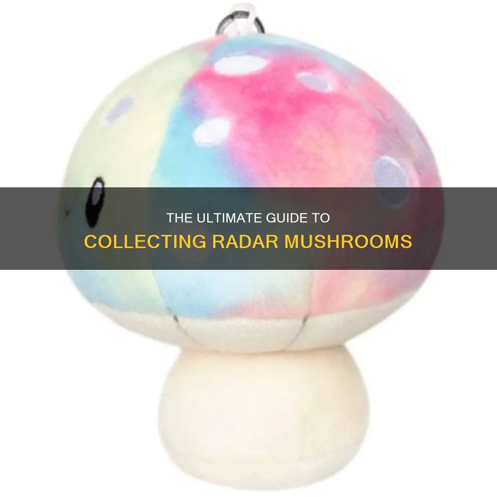 how to collect radar mushroom