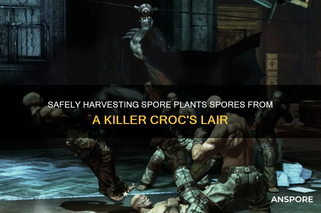 how to collect spor plamts spores from killer crocs lair