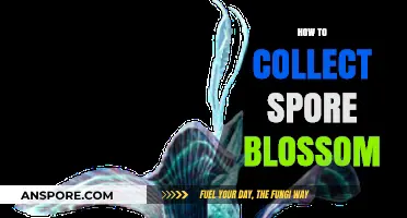 Mastering Spore Blossom Collection: Tips and Techniques for Success